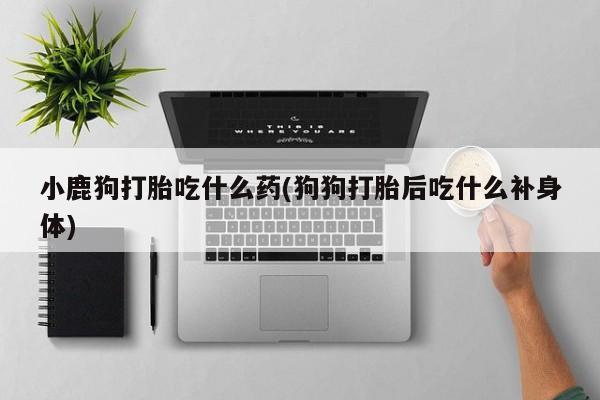 打胎药购买联系方式在线 小鹿狗打胎吃什么药(狗狗打胎后吃什么补身体)