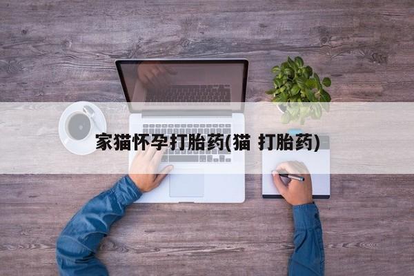 打胎药购买联系方式在线 家猫怀孕打胎药(猫 打胎药)